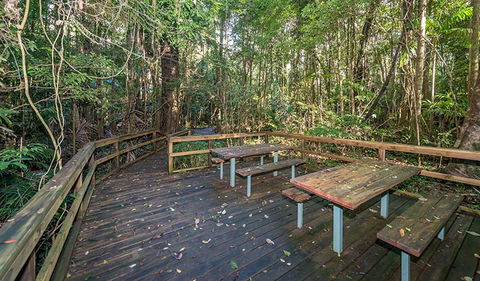Starrs Creek Picnic Area - Accommodation Resorts 1