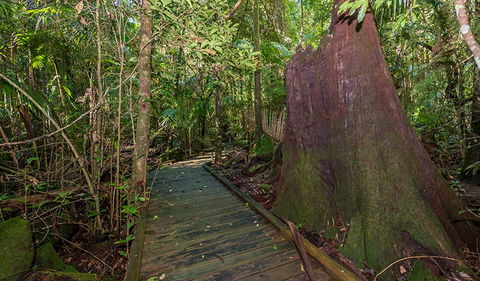 Starrs Creek Picnic Area - Accommodation Resorts 2