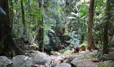 Wollumbin National Park - Accommodation Resorts 2
