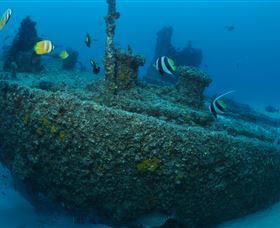 Curtain Artificial Reef Dive Site - Accommodation Resorts 1