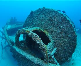 Curtain Artificial Reef Dive Site - Accommodation Resorts 3