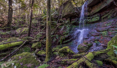 Coorabakh National Park - Accommodation Resorts 0