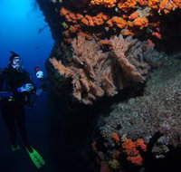 Gotham City Dive Site - Accommodation Resorts