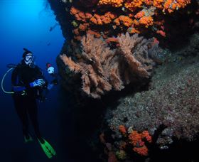 Gotham City Dive Site - Accommodation Resorts 0