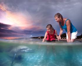  Accommodation Resorts