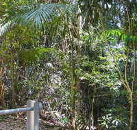 Goorgana walking track - Accommodation Resorts