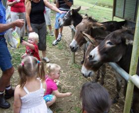 Crystal Creek Miniatures - Accommodation Resorts 1