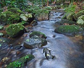 Protesters Falls - Accommodation Resorts 7