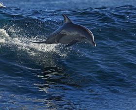 Town Centre - Accommodation Resorts 1