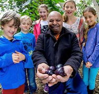 Wigay Aboriginal Culture Park - Accommodation Resorts