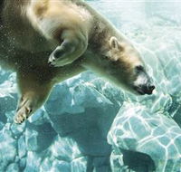 Australia's Sea World - Accommodation Resorts