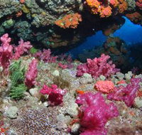 Cherubs Cave Dive Site - Accommodation Resorts