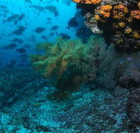 Henderson Rock Dive Site - Accommodation Resorts