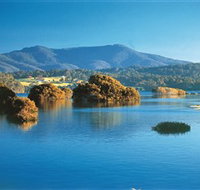 Wagonga Picnic Area - Accommodation Resorts