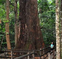 Bird Tree and Benaroon - Accommodation Resorts