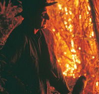 The Shed Gallery - Accommodation Resorts