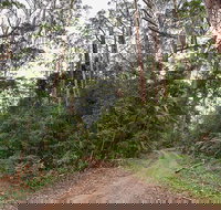 End Peak walking track - Accommodation Resorts