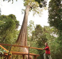 Old Bottlebutt - Accommodation Resorts