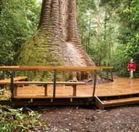 Burrawan State Forest - Accommodation Resorts