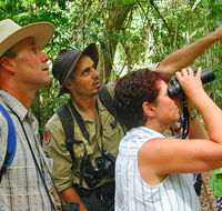 Falls walking track - Accommodation Resorts