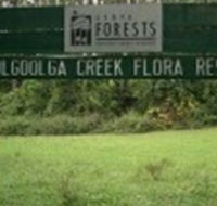 Woolgoolga Creek Flora Reserve - Accommodation Resorts