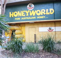 Superbee Honeyworld Gold Coast - Accommodation Resorts