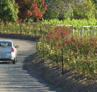 Cassegrain Wines - Accommodation Resorts