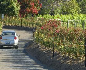 Cassegrain Wines - Accommodation Resorts 0