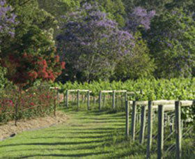 Cassegrain Wines - Accommodation Resorts 1