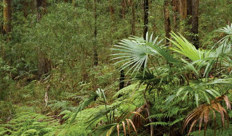 Booti Booti National Park - Accommodation Resorts 2