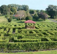 Amaze n Place - Accommodation Resorts