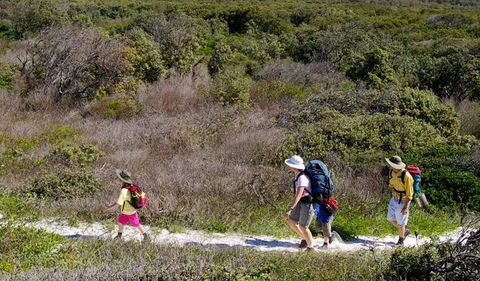 Yuraygir Coastal Walk - Accommodation Resorts 0