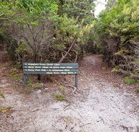 Angophora grove walking track - Accommodation Resorts
