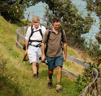 Illaroo to Wooli walking track - Accommodation Resorts