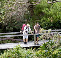 Wilsons Headland walking track - Accommodation Resorts