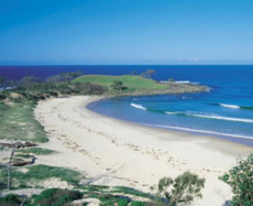 Angourie Beach - Accommodation Resorts 1