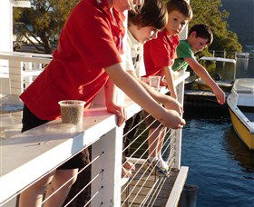 Dunbogan Boatshed - Accommodation Resorts 3