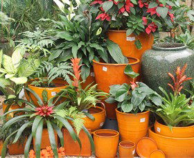 Diamond Waters Garden Nursery - Accommodation Resorts 1