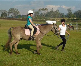 Port Macquarie Horse Riding Centre - Accommodation Resorts 0