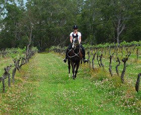 Port Macquarie Horse Riding Centre - Accommodation Resorts 1