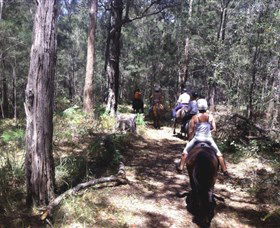Port Macquarie Horse Riding Centre - Accommodation Resorts 4