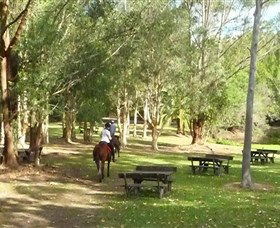 Port Macquarie Horse Riding Centre - Accommodation Resorts 6