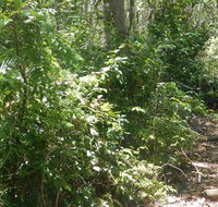 Bridle trail - Accommodation Resorts