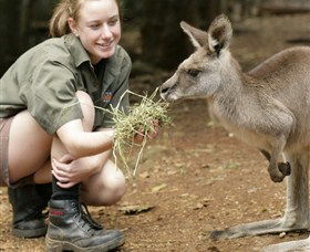 Macadamia Castle - Accommodation Resorts 2