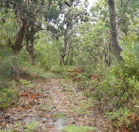 Kinchela Trig Lookout walk - Accommodation Resorts