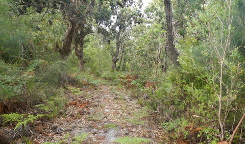 Kinchela Trig Lookout Walk - Accommodation Resorts 0
