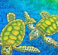 Sea Silks Gallery - Accommodation Resorts