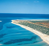 Monkey Mia - Accommodation Resorts