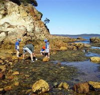 Sapphire Coast Marine Discovery Centre - Accommodation Resorts