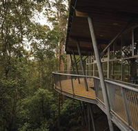 Tarkine Forest Adventures - Dismal Swamp - Accommodation Resorts